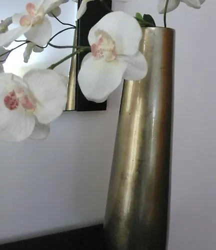 Sao Martinho Do Porto Beach Apartment 公寓 *