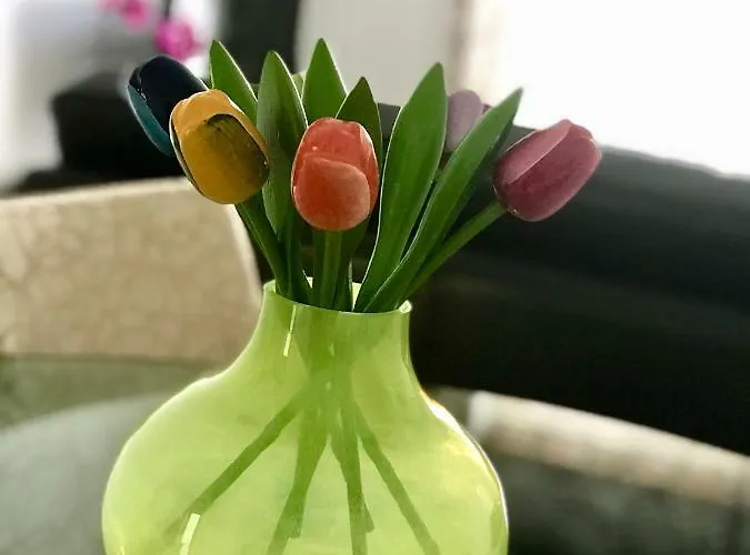 公寓 Sao Martinho Do Porto Beach Apartment